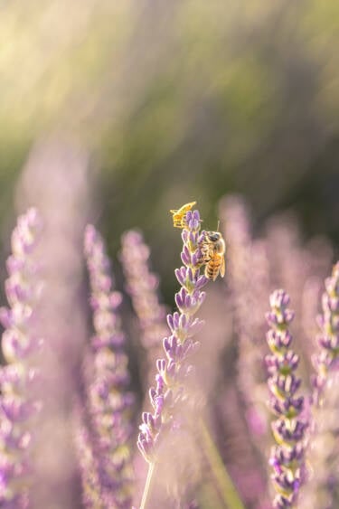 Nikon magazine - Travel stills and video