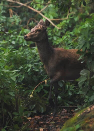 Nikon magazine - The Set Up