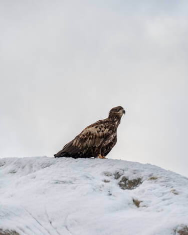 Nikon magazine - ZR tried and tested