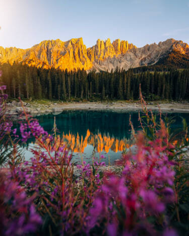 nikon-image